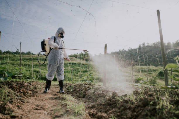Best Commercial Pest Control Services  in Union Point, GA