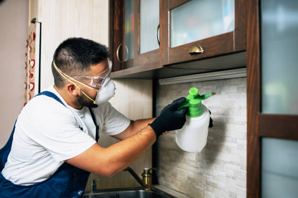 Best Cockroach Control Services  in Union Point, GA