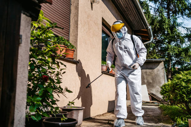Best Best Pest Control Companies  in Union Point, GA