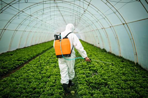 Best Pest Inspection Near Me  in Union Point, GA
