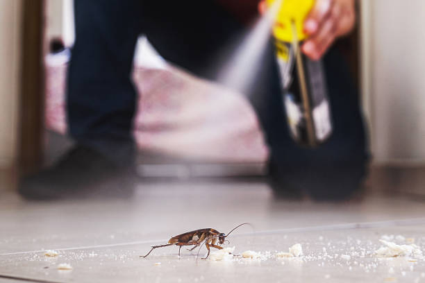 Best Emergency Pest Control  in Union Point, GA