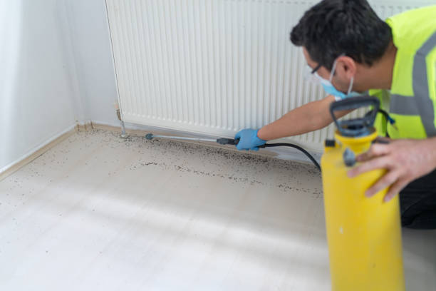 Best Pest Control Cost  in Union Point, GA