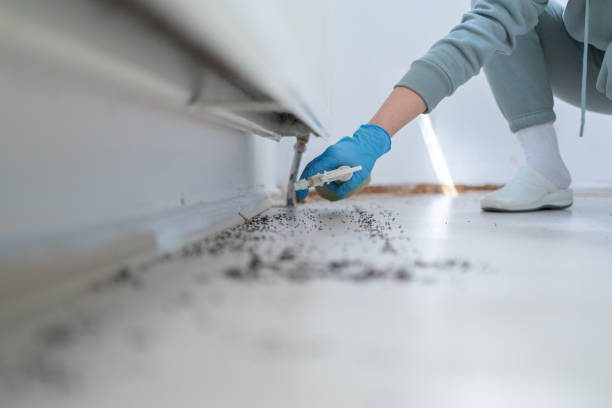 Best Pest Removal Services  in Union Point, GA